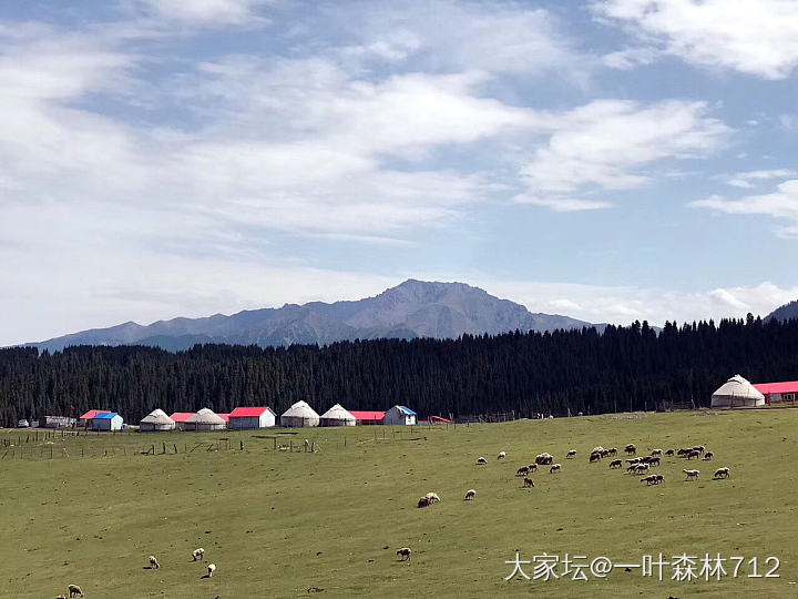 苍鹰翱翔
坡上牛羊
哈萨克的午餐
有生以来风景最美的烧烤摊。_美食旅游