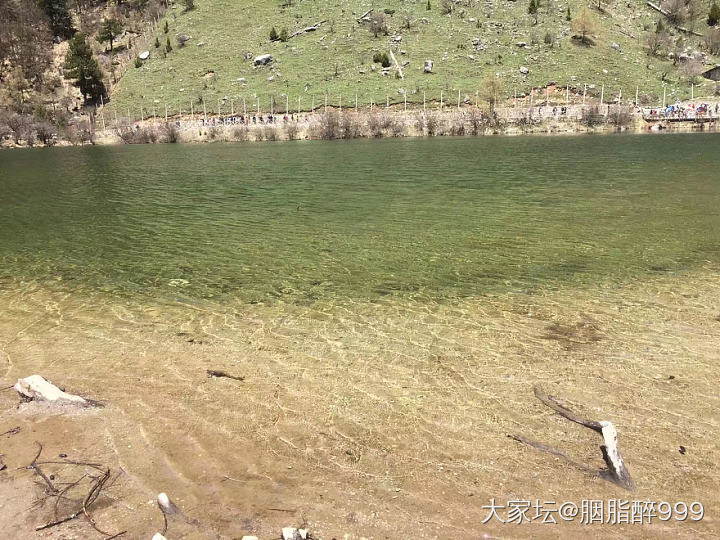 五一川西毕棚沟行，
川西天蓝，白雪皑皑终年不化，雪水形成的冰冷海子，海拨4000..._旅游