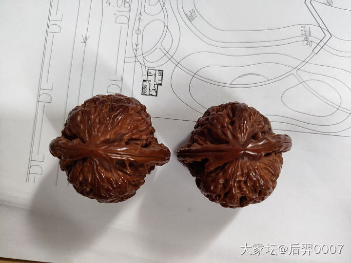 自己盘了一年的狮子头_核桃