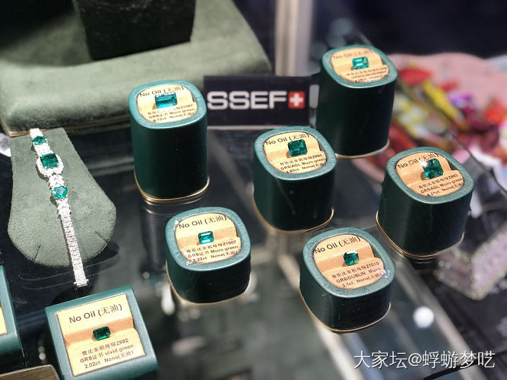 上海国际珠宝首饰展览会
珠宝盛会，了解宝石行情，行业资讯不容错过。
凑了个热闹!_上海展会