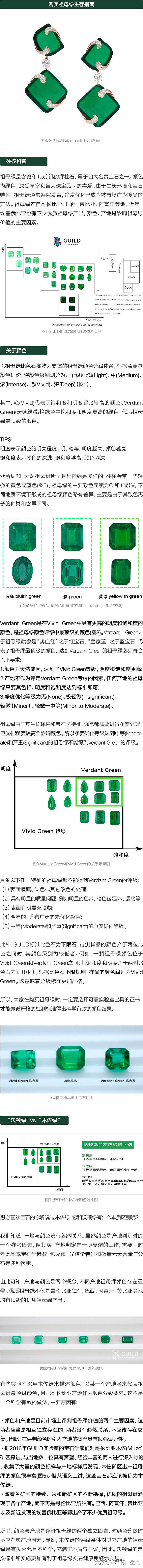 购买祖母绿生存指南
____转载自吉尔德宝石实验室_祖母绿