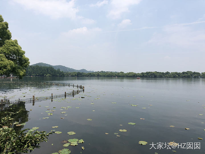 西湖浪半天～六和塔……虎跑……郭庄_旅游