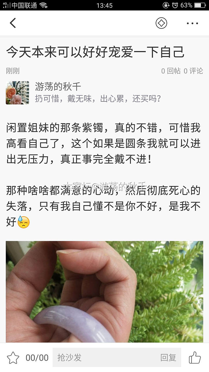 调皮的紫镯_手镯翡翠