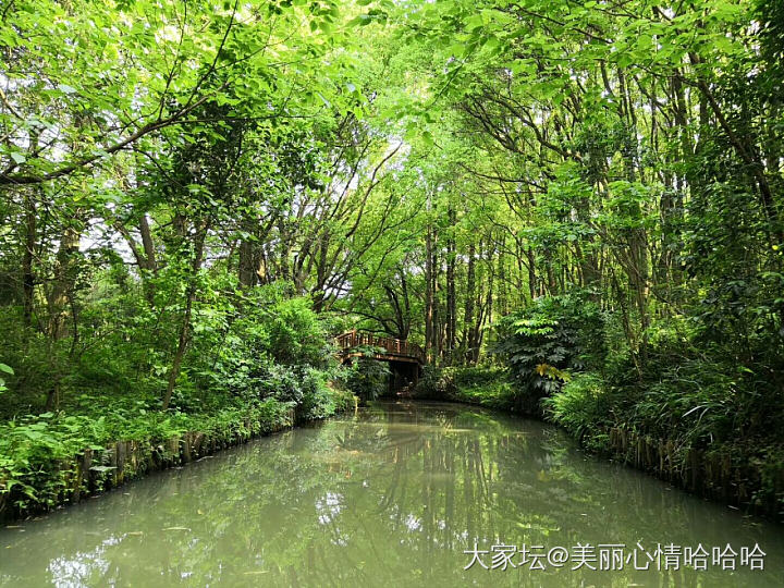 同里湿地_苏州旅游