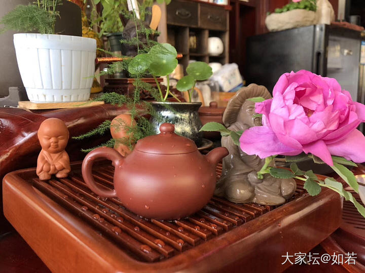 美好的一天从吃草莓开始，自己种的哦，🌹也是自己种的_水果