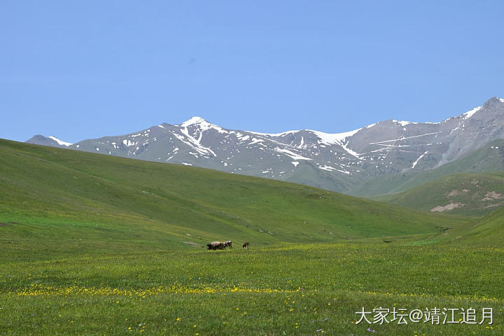 大美昭苏——煤炭沟（一）_景色旅游