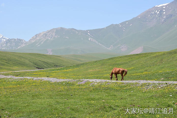 大美昭苏——煤炭沟（一）_景色旅游