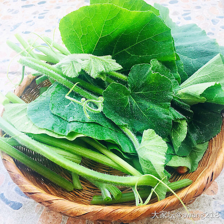 🎃藤疯狂抢占地盘，
正好取藤叶做一碗羹。
添山药，骨头汤，葛粉，🍅。
娃儿吃的肚..._厨艺