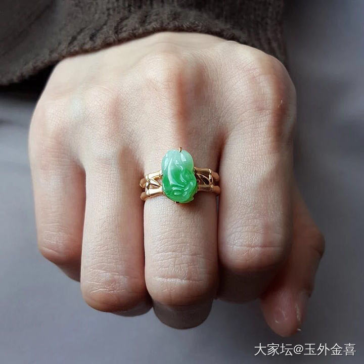 入了个绿貔貅，求合适的款式，甩给我～_翡翠