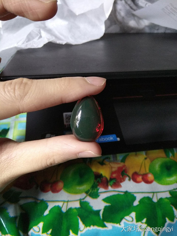 净水缅甸琥珀绿膜变色龙_琥珀