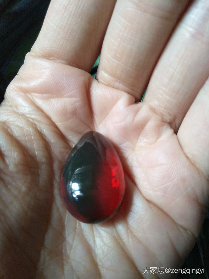 净水缅甸琥珀绿膜变色龙_琥珀