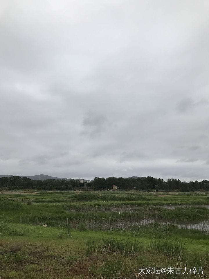 一早看到这绿色很是开心
绿有很多种
嗯
来一套绿色系列的编绳
配个银豆子_景色