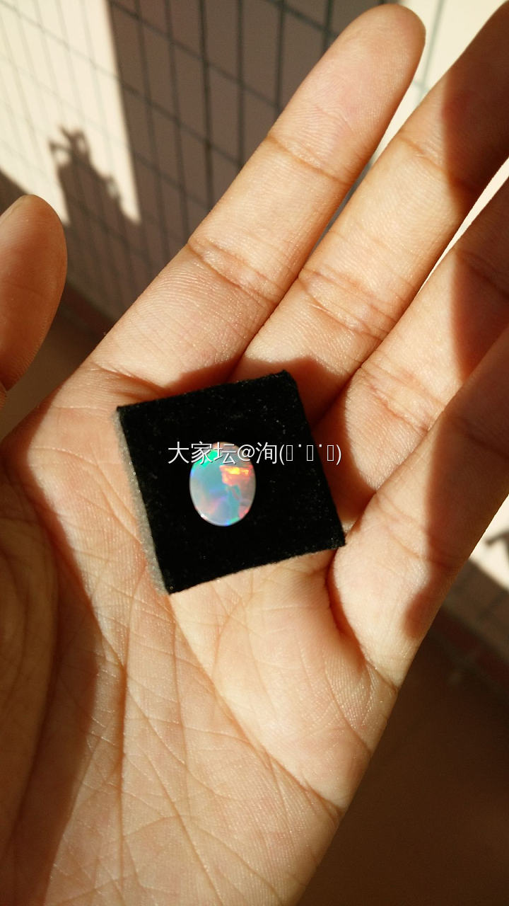 有迷欧泊的吗？晒晒你的好货吧。_欧泊