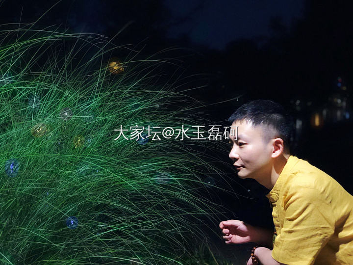 又香又翠_翡翠
