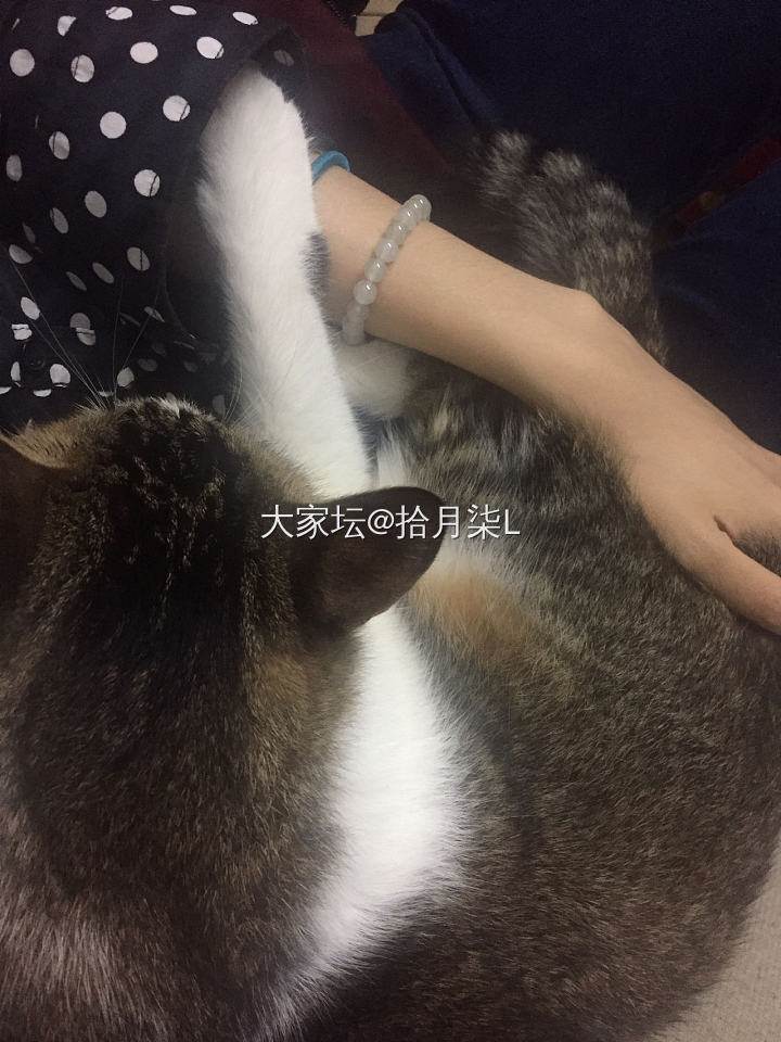 六一节的礼物_白玉手镯