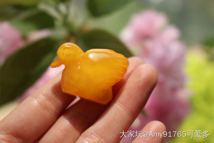 晒蜜蜡才是正经事_古董首饰琥珀蜜蜡