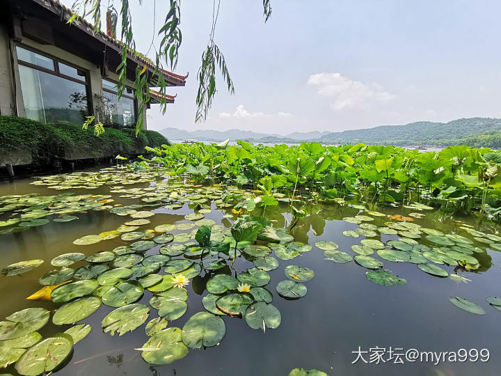 偷得浮生半日闲_景色杭州旅游