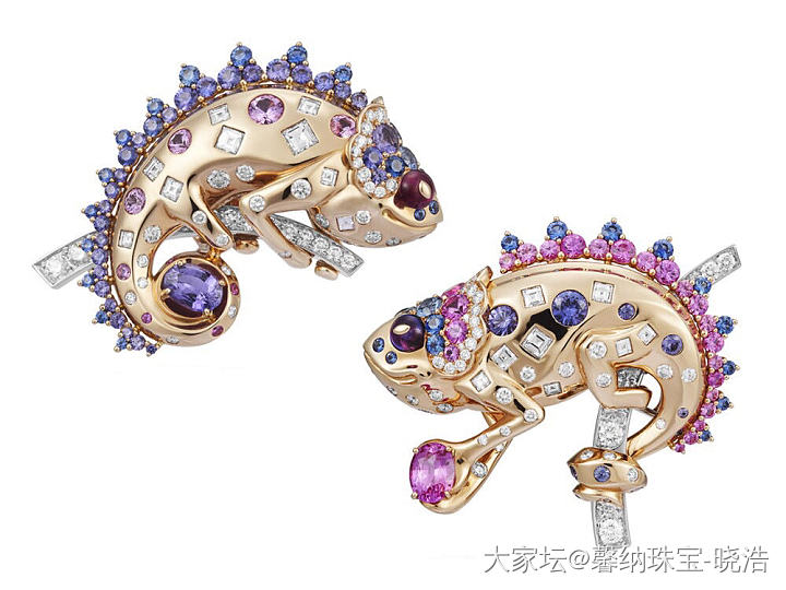 这对可爱的变色龙胸针来自 Van Cleef & Arpels 诺亚方舟「L’A..._梵克雅宝蓝宝石