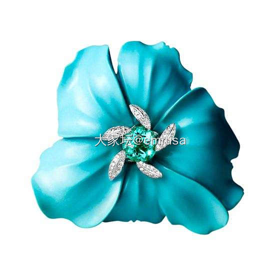 不如其他宝石有悠久的历史，帕拉伊巴碧玺（Paraiba tourmaline）现..._碧玺