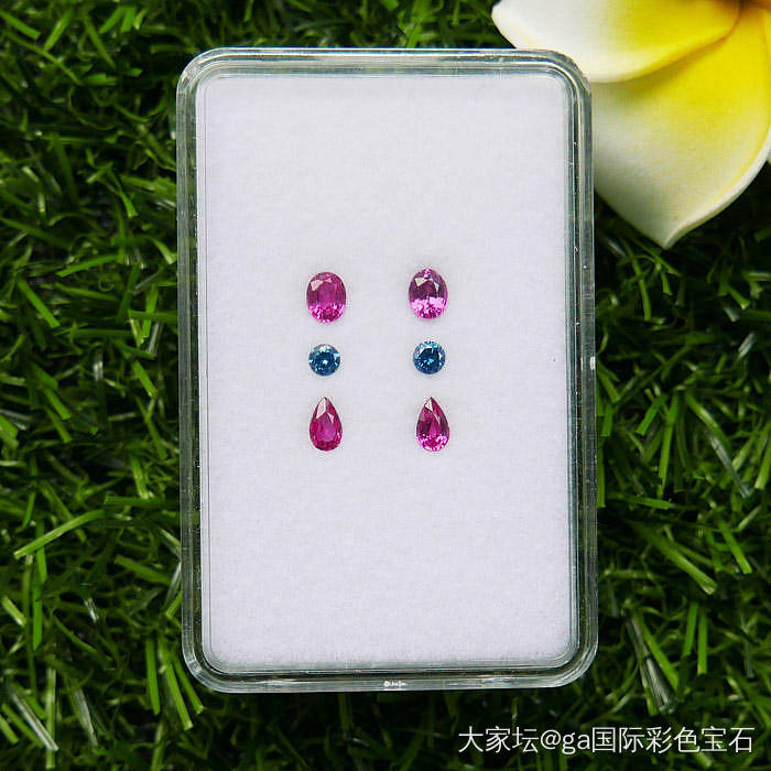 【GA彩宝】1.25克拉一对 天然艳粉蓝宝石+蓝钻裸石_蓝宝石GA国际彩色宝石