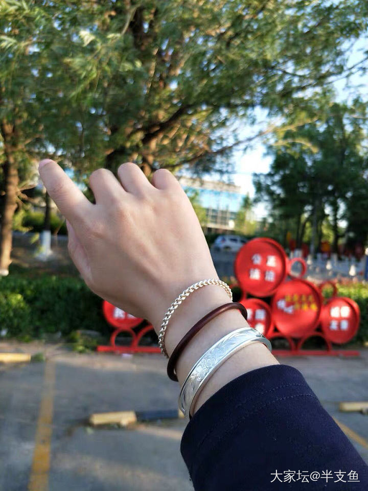 定竹还是芍药_手镯银