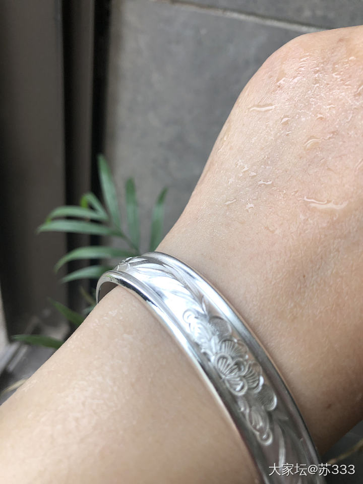 定竹还是芍药_手镯银