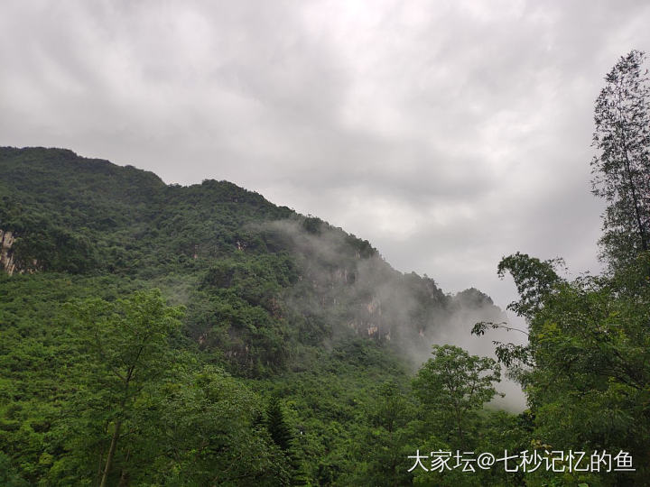 中越边境的德天跨国瀑布，风景美丽，天然氧吧！_旅游