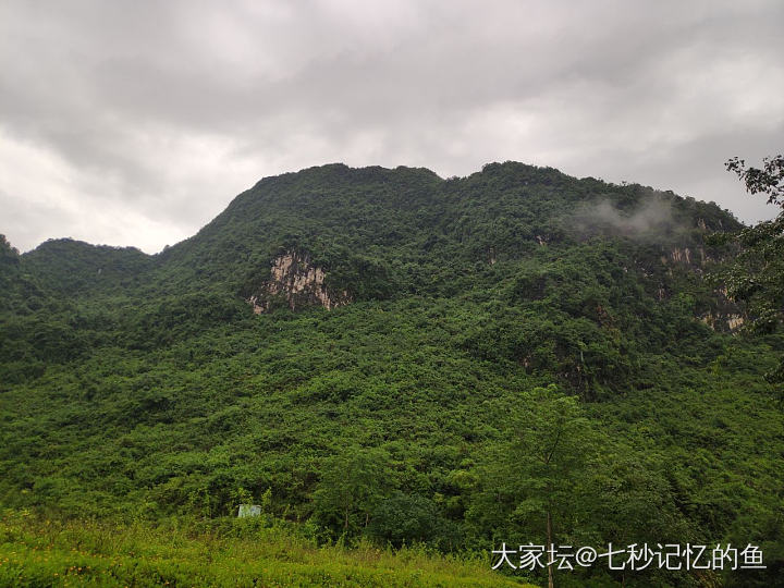 中越边境的德天跨国瀑布，风景美丽，天然氧吧！_旅游