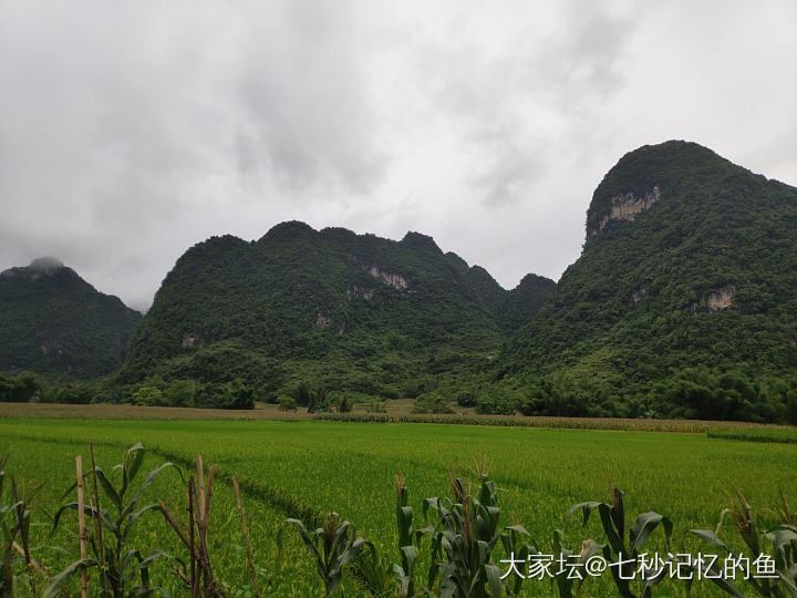 中越边境的德天跨国瀑布，风景美丽，天然氧吧！_旅游