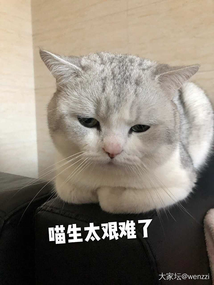 某铺618后会回调吗？_金