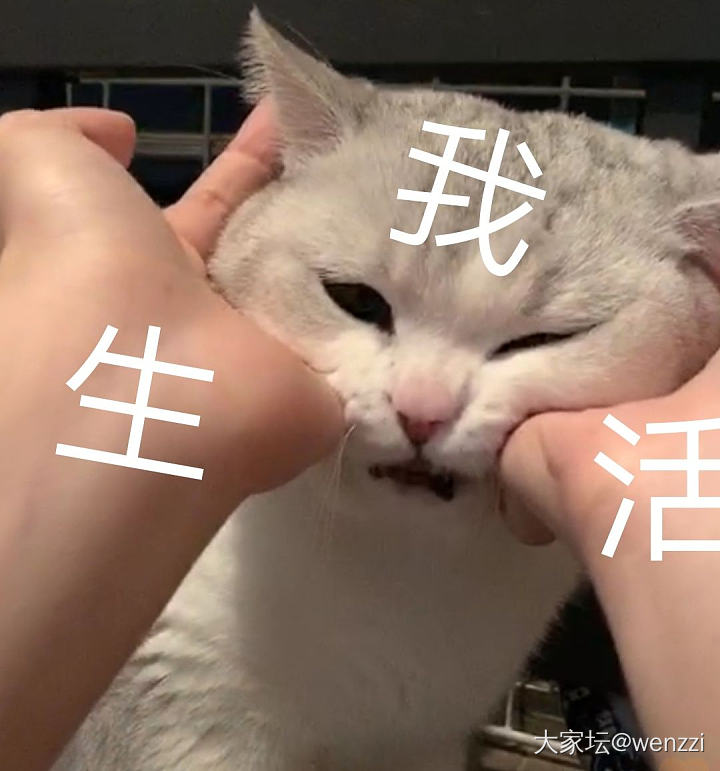 某铺618后会回调吗？_金