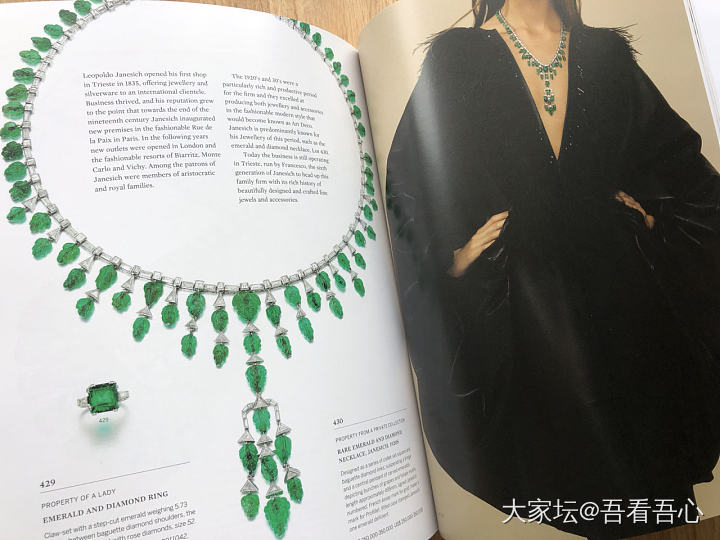Magnificent Jewels and Noble Jewels_首饰