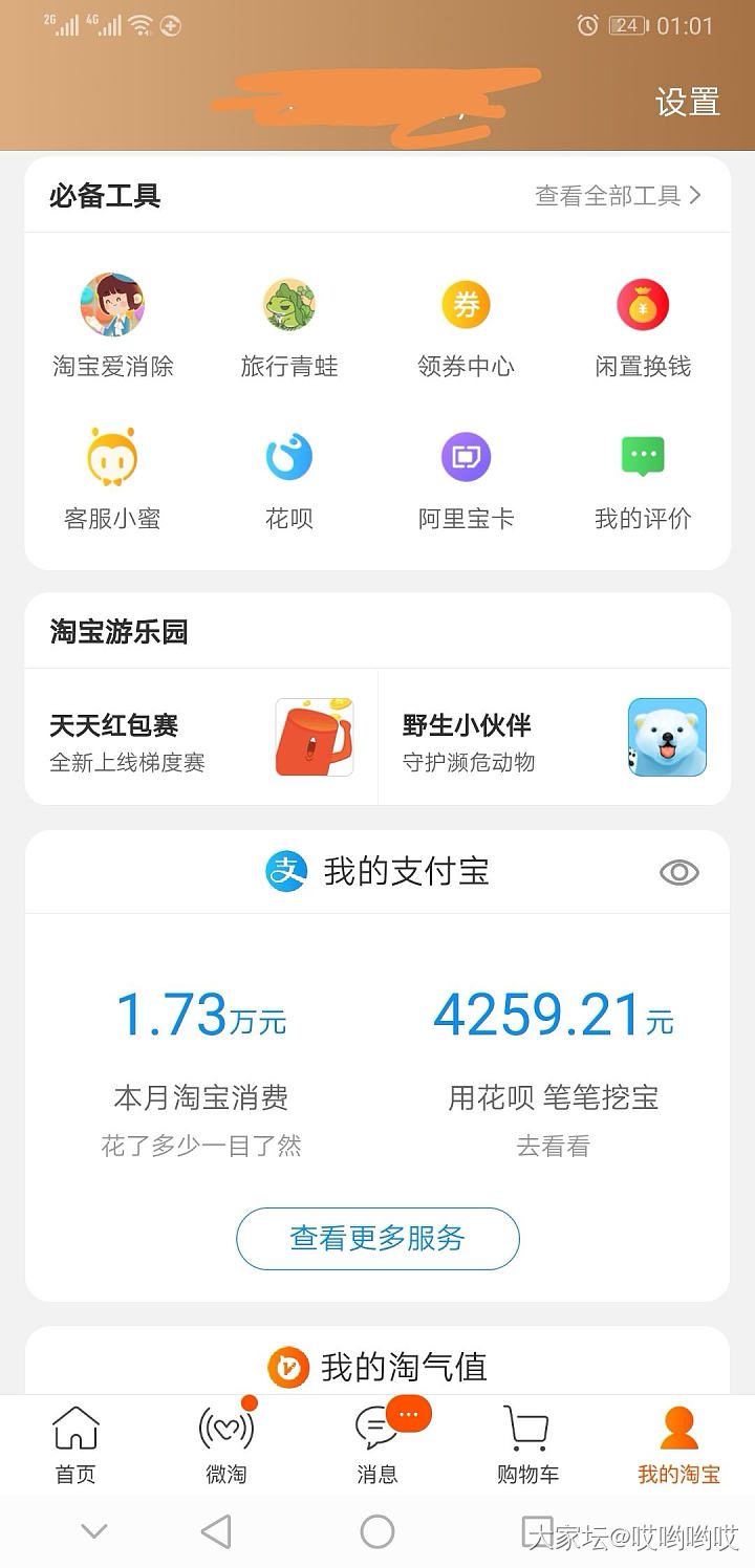 我的2019年618，花呗有点不用白不用的感觉，买买买很多，开通不算早，额度不高_网络平台