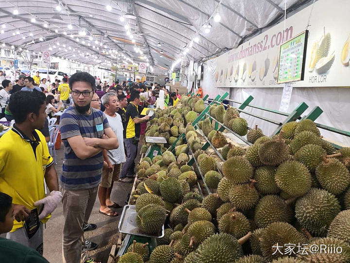 不同价格的榴莲 有看得懂的吗_水果