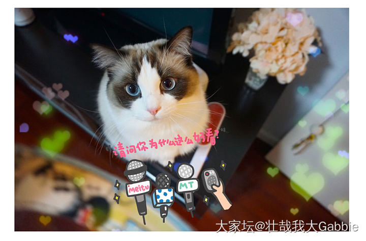 蹲个1.5-2卡的钻戒或裸钻_钻石