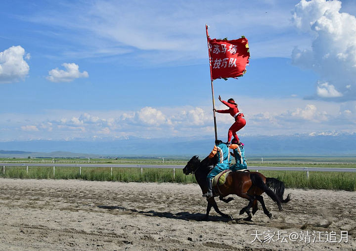 大美昭苏——军马场（一）_旅游