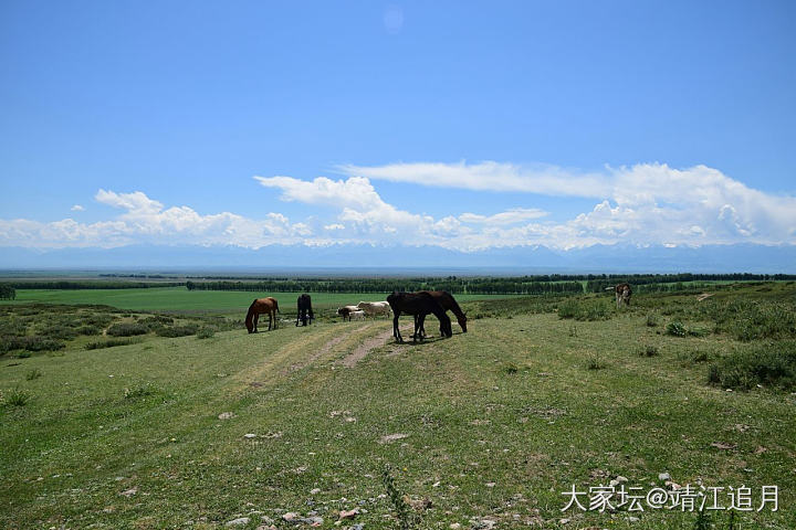 大美昭苏——知青馆、格登碑（一）_旅游