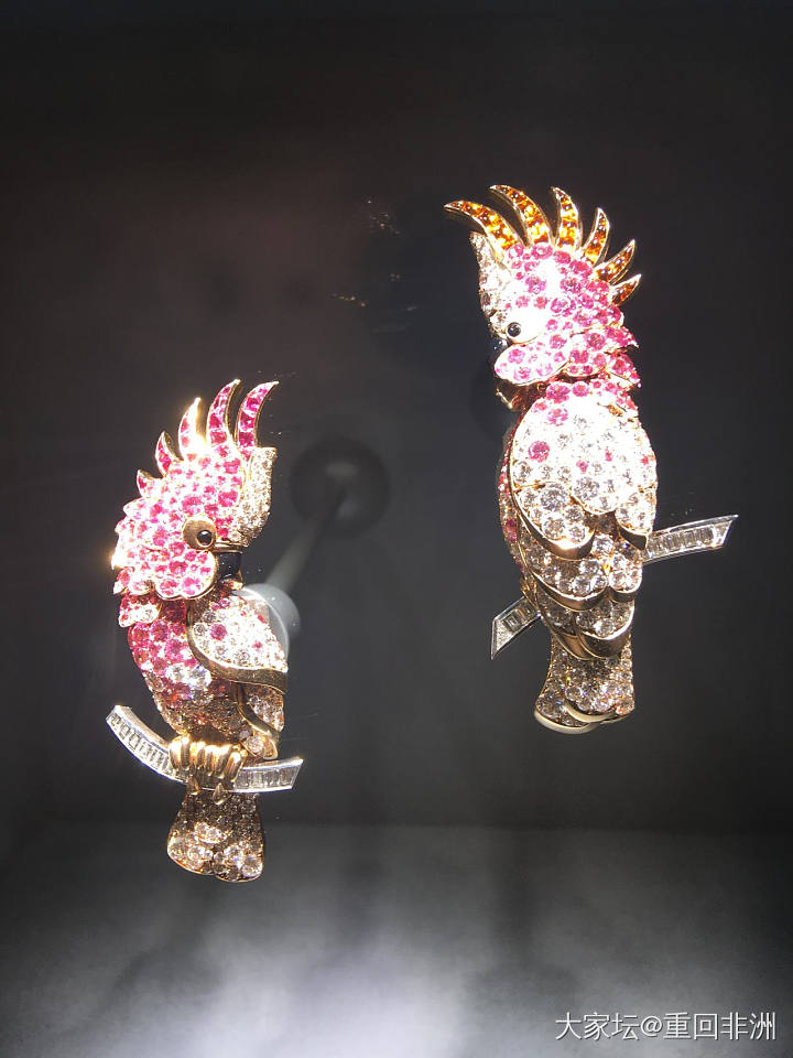 【诗意百年，胸针艺术】梵克雅宝胸针展_梵克雅宝胸饰