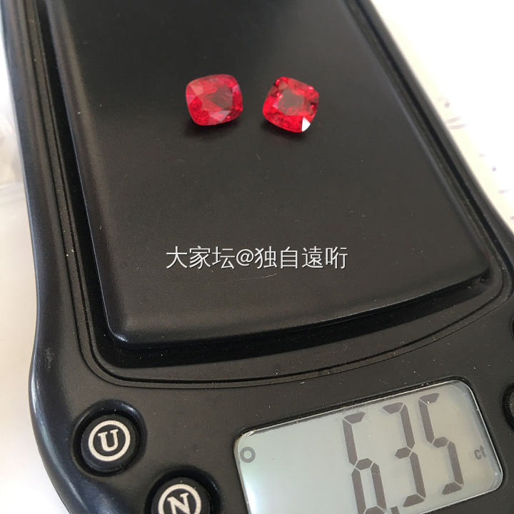 第一次被狗咬了，分享经验。_尖晶石
