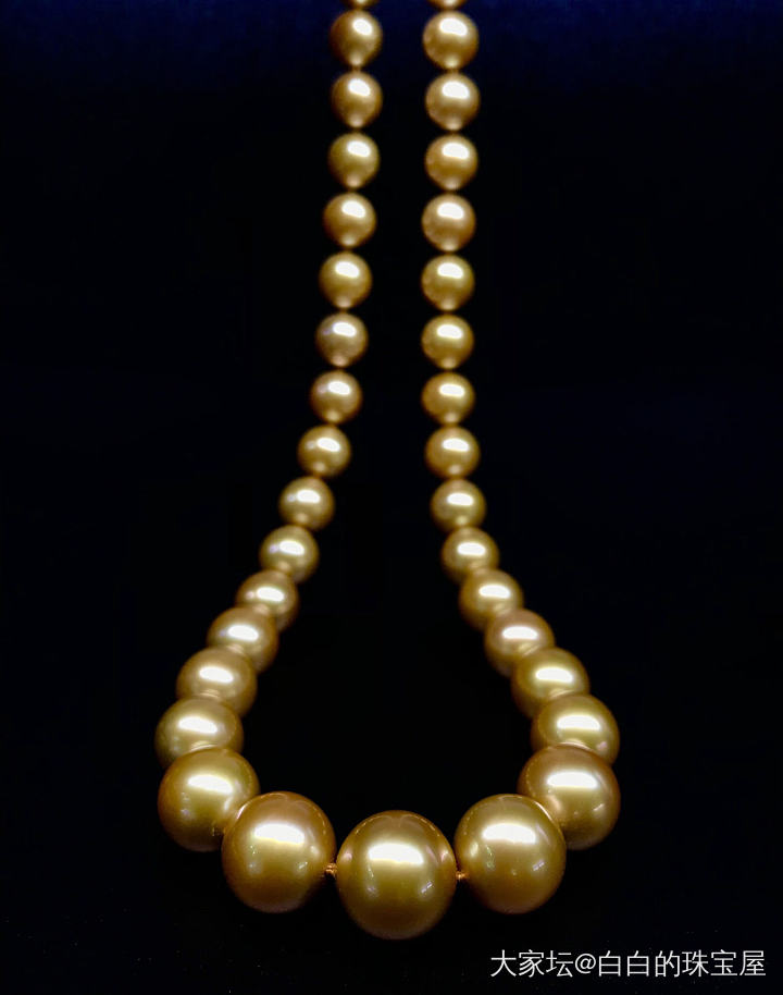 一条超有气场的收藏品珍珠！珠大10-13.6mm，浓金色全无暇，我被震到了_珍珠
