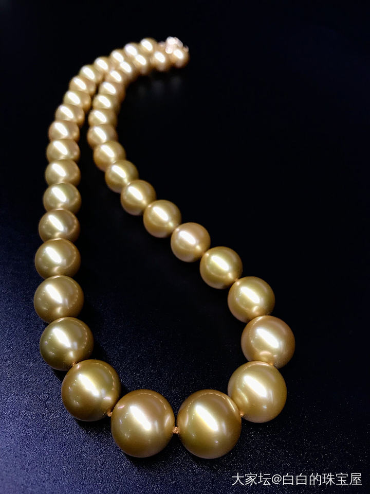 一条超有气场的收藏品珍珠！珠大10-13.6mm，浓金色全无暇，我被震到了_珍珠