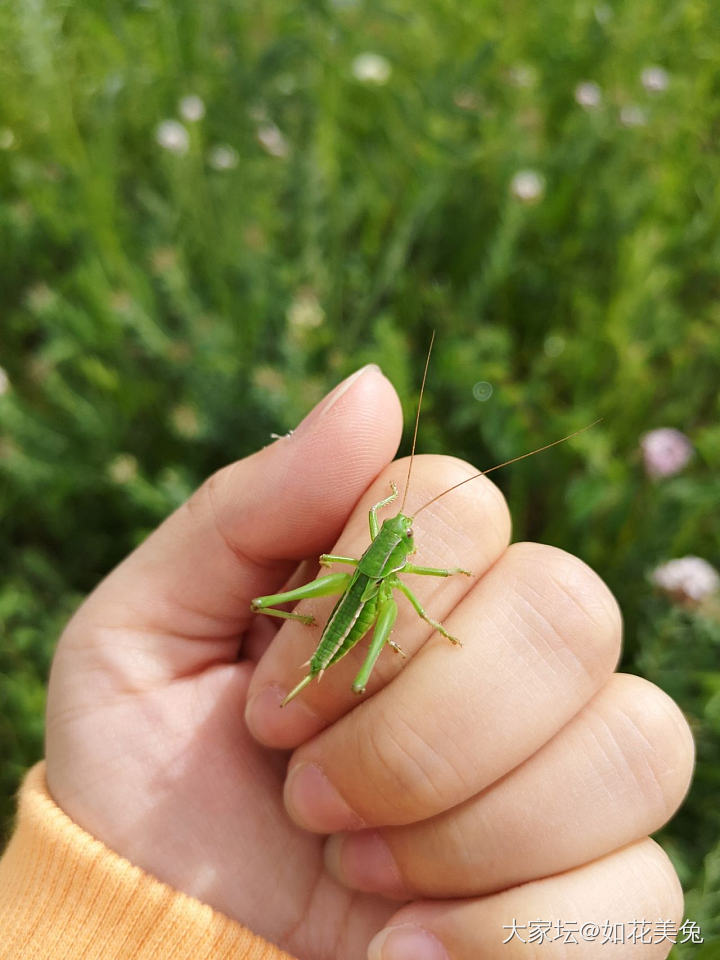 近期的内蒙之行_内蒙古旅游