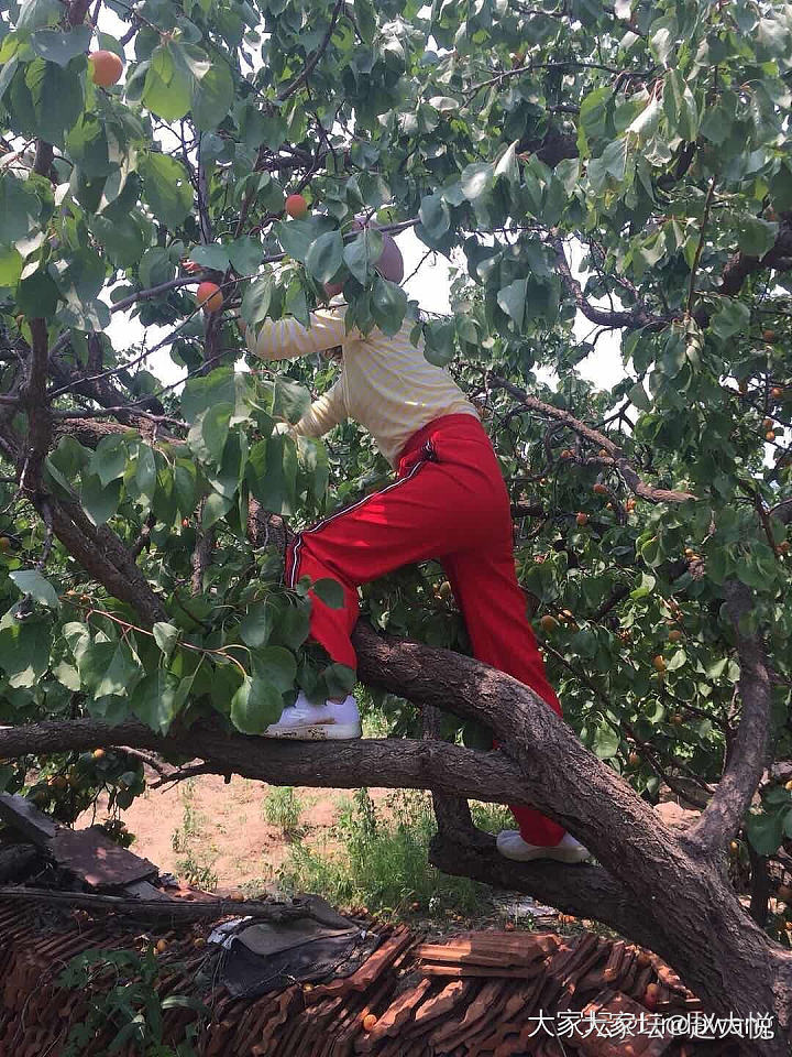 何以解忧，唯有美物与美衣呀😀😀😀_穿搭