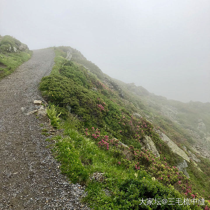 脚踏五彩祥云，徒步1.5小时，不管平原驰骋还是巅峰远眺，都比不过半山一眸。_旅游