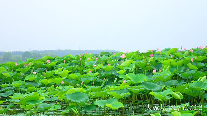 水库旁边溜达一圈_旅游