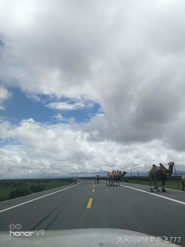 来几张旅行照  景色很美 值的一来地方_旅游