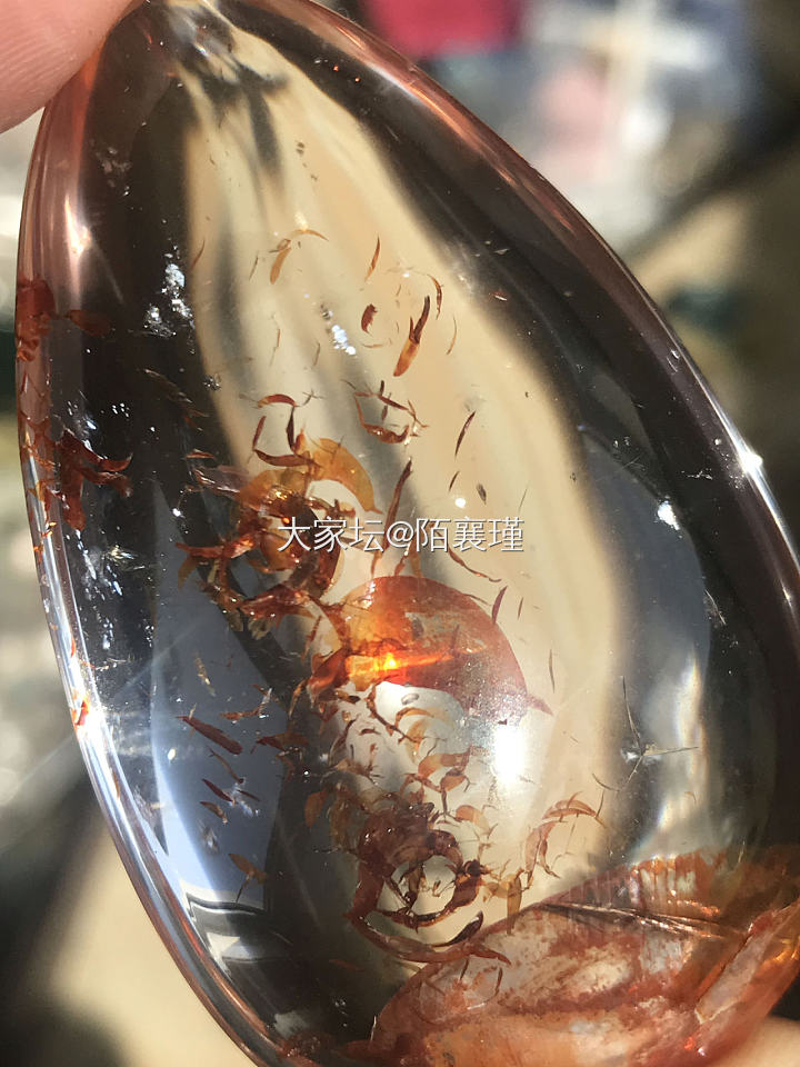 有誰聽過一種叫鸩羽幽灵的水晶嗎？_水晶