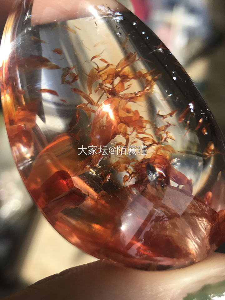 有誰聽過一種叫鸩羽幽灵的水晶嗎？_水晶