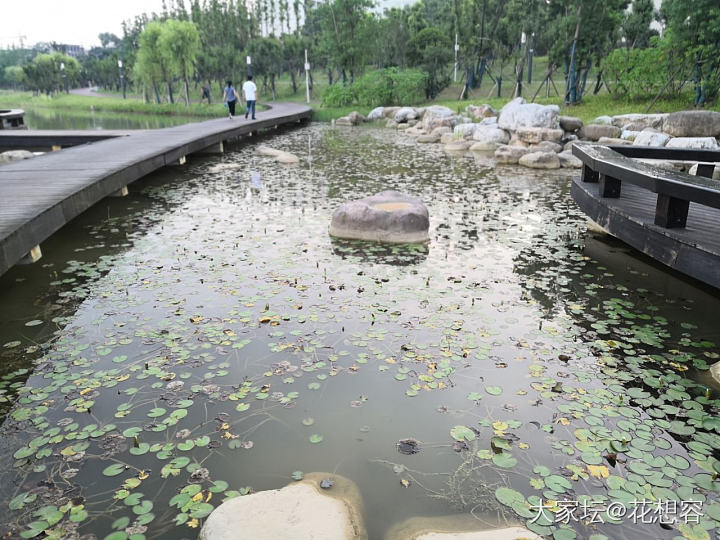 美吗？原来，家门口也这么美了，人约黄昏后，月上柳梢头，还有那些垂钓翁以及狐步舞者..._大家谈闲聊