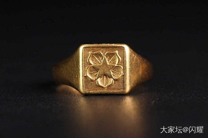 星花怒放_老金